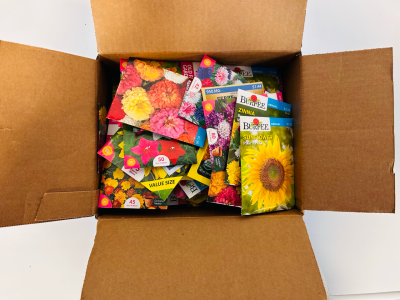 Large Selection of Garden Seeds (Flowers)