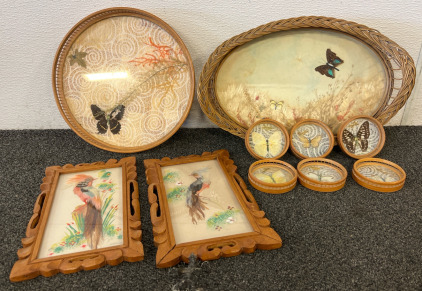 Entomology Lot &mdash; Pinned Framed Butterflies, Framed Bird Feather Pictures