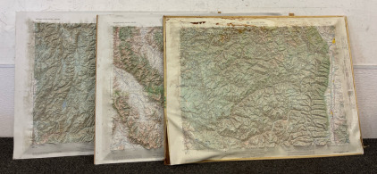 (3) Topical Maps