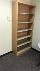 Large Book Shelf And More