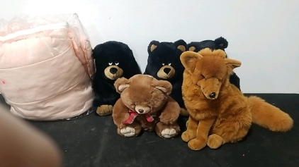 (3) Black Bear Stuffed Animals, (1) Fox Stuffed Animal, (1) Brown Bear Stuffed Animal, (1) Pink Bed Top Blanket
