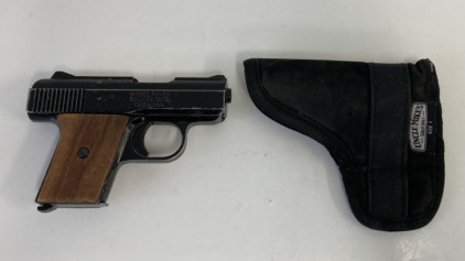 Raven MP-25 in .25ACP Pistol