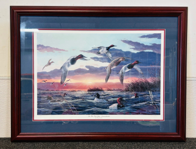Framed Ducks Unlimited Picture By Terry Doughty "In The Fast Lane- Canvasbacks" Numbered 3117/4850