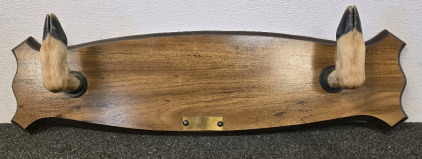 Deer Hoof Wall Mount