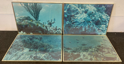 (4) Ocean Floor Framed Photos