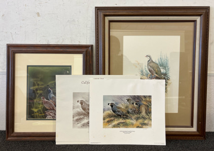Quail Prints / Artwork Framed & Unframed