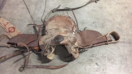 Saddle