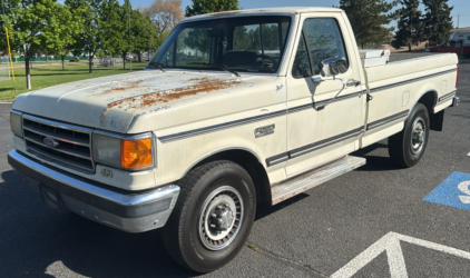 1990 FORD F-250 - IDELTA TOOL BOX!