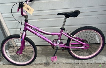 20&rdquo; 2 Cool Kids Bike