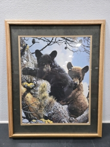 Bear Cub Print in Hanging Wood Frame 27" x 32&frac34;"