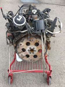Chevy 5.7L Motor