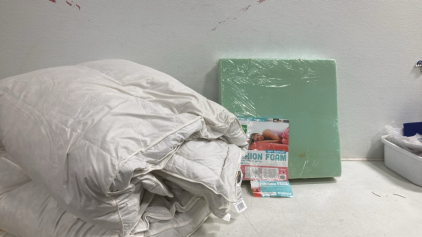 (1) Large Comforter - (1) Foam Cushion