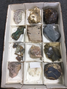 (12) Piece Rock and Mineral Collection