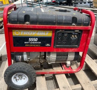 Troy-Bilt 5550 Watt Generator