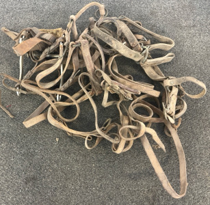 Horse Tack, Feed Bucket, Rake & Other Misc. Items