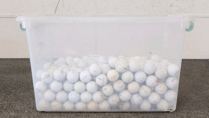 Tote Filled With Golf Balls!