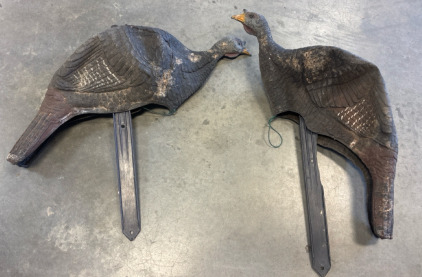 (2) Turkey Decoys