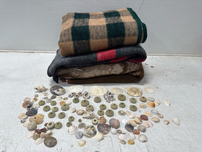 (3) Blankets & Assortment Of Real SeaShells And Sand Dollars