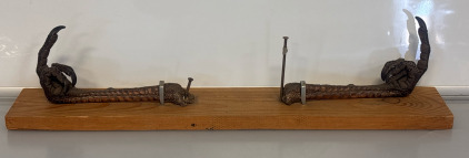 Taxidermy Wall Art For Man Cave