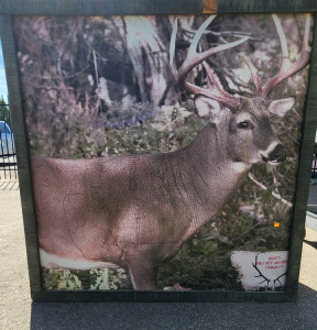 Zink's Big Sky Archery Target Double Sided 4'&times;4'x2'