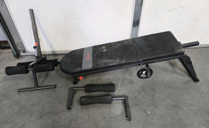 Sunny Workout Bench