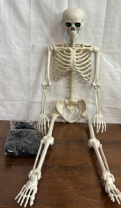 5.4&rsquo; Full Body Skeleton