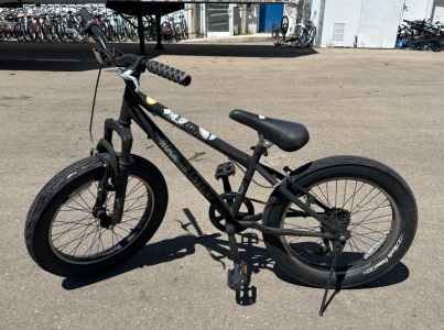 (1) 20&rdquo; Genesis Rock Blaster Black Bike
