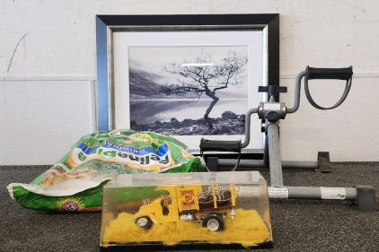 Wall Art, Feline Pine Pellets, And More.