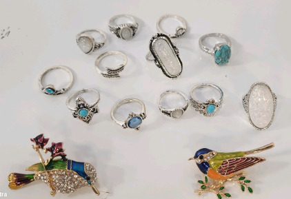 Various Rings Sized 3-5.5, Hummingbird And Bird Broaches.