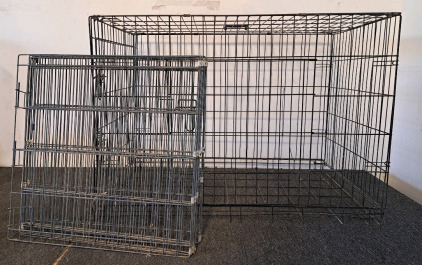 Dog Kennel And Fence