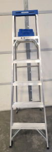 Werner 6' Metal Ladder