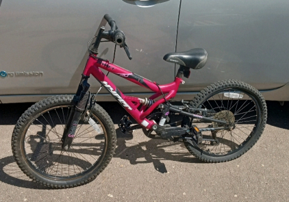 20 Inch Swift Dark Pink