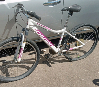 26Inch Schwinn White And Purple
