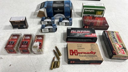 ((13) Boxes of Assorted Ammunition (1) Ammo Can