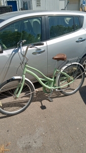 26 Inch Huffy Sea Green