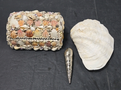 Sea Shell Decor Stirage Box, Large Clam Shell, Slim Metal Sea Shell