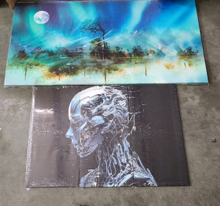 Wall Art Lot! Including Night Sky And AI!