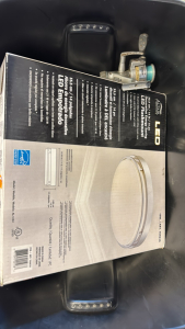 (2) LED Flushmount Ceiling Lights, (2) Pairs Of Men's Shoes, Picture Frame And More!