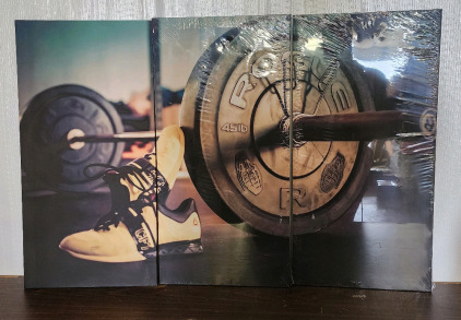 Wall Art Lot! Work Out Weights, And Skate Board 3 Panel Wall Art
