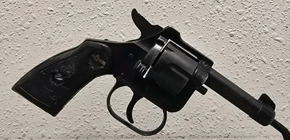 Rohm RG10 .22 Short Revolver-- 251144