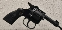 Rohm RG10 .22 Short Revolver-- 251144
