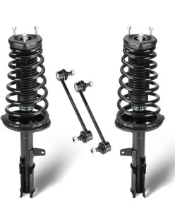 Rear Struts Assembly