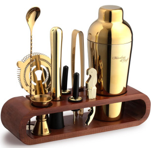 Gold Mixology Bartender Kit