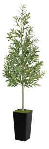 6&rsquo; Faux Olive Tree With Real Dirt!!