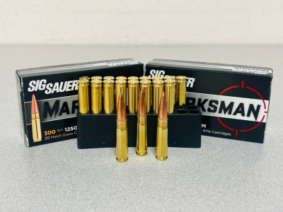 (40) Rounds Of Sig Sauer Marksman 300 BLK 125 Gr. OTM