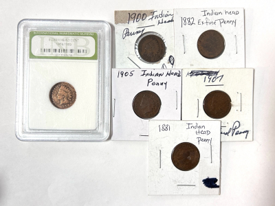 (6) Vintage Indian Head Pennies