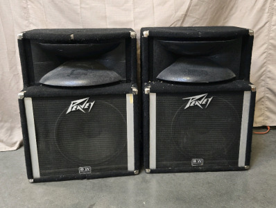 (2) Peavey BW Equipped Speakers