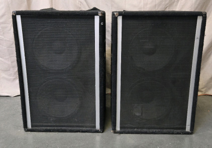 (2) Large Peavey Speakers