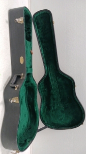 Martin & Co Guitar Case