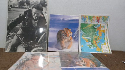 Picture Posters.